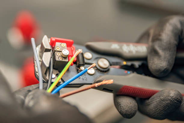 Best Electrical System Inspection  in Golden Grove, SC